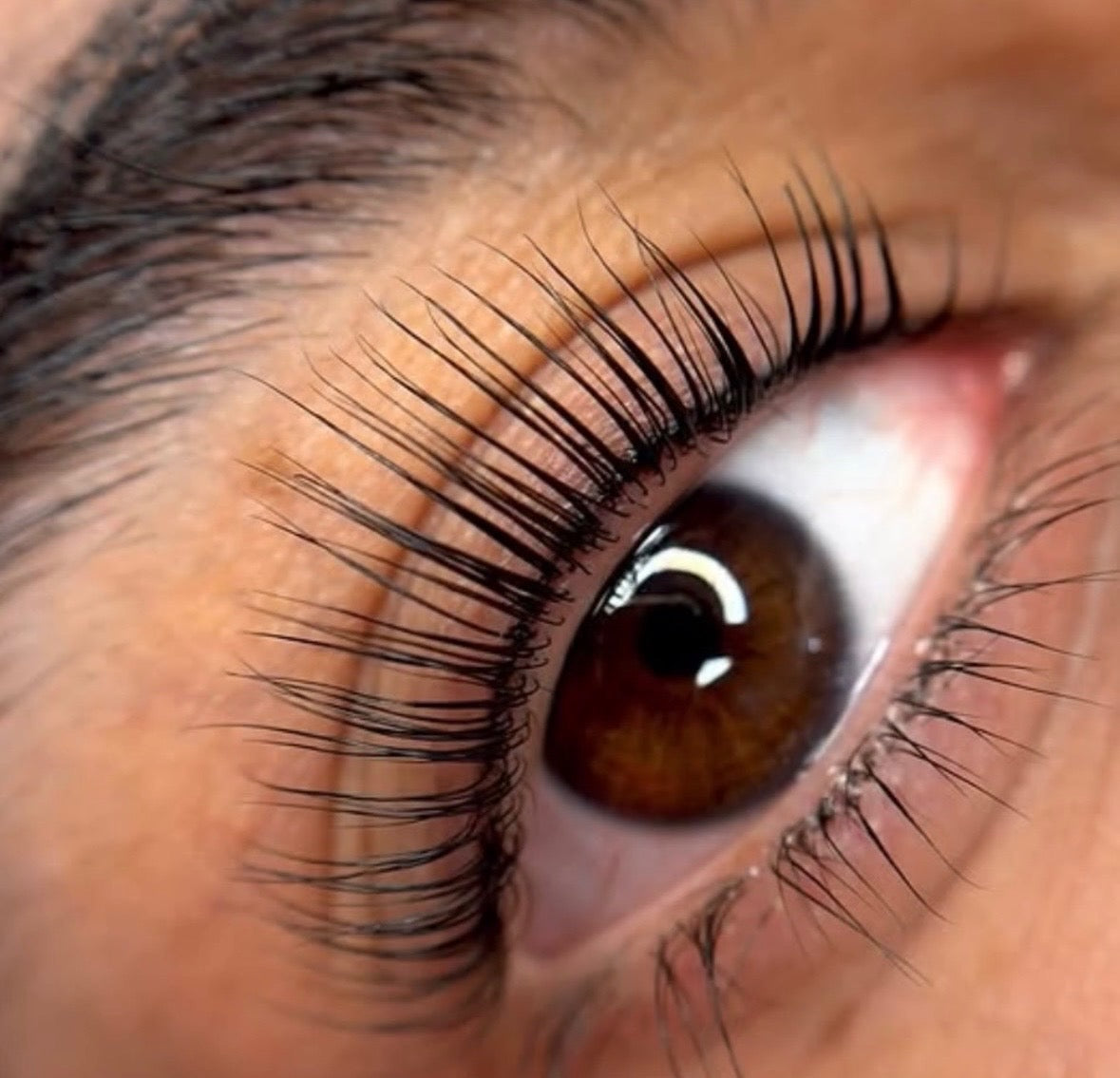 Korean lash lift at Aura Skin Boutique, Essendon